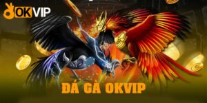 Đá gà OKVIP: Những bí quyết chiến thắng không thể bỏ qua